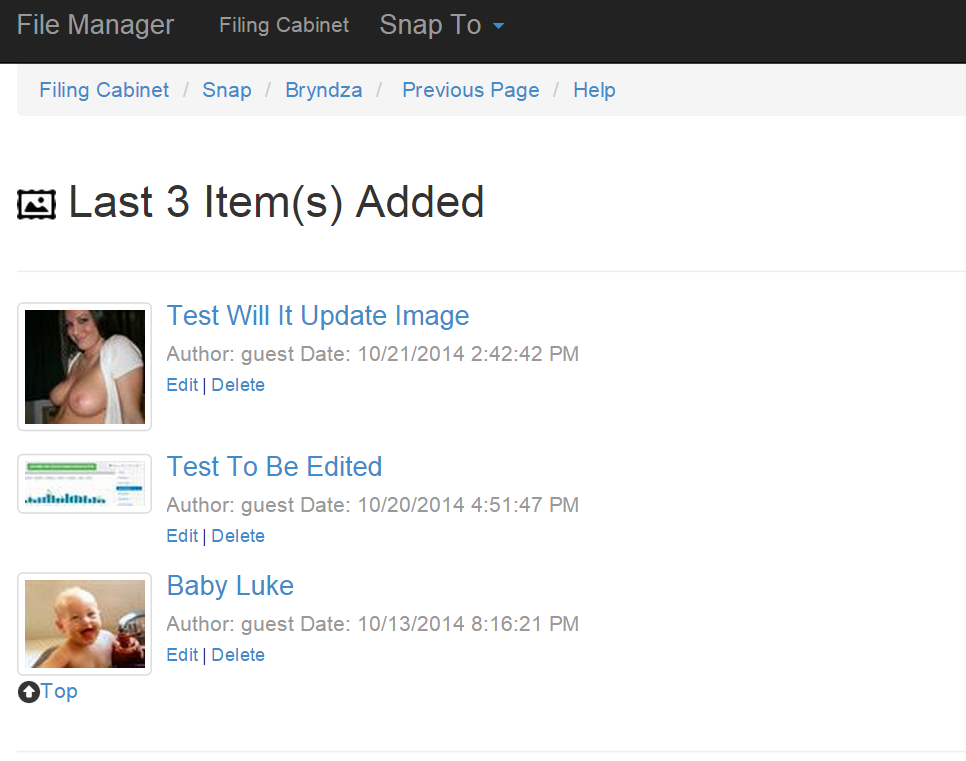 File Manager